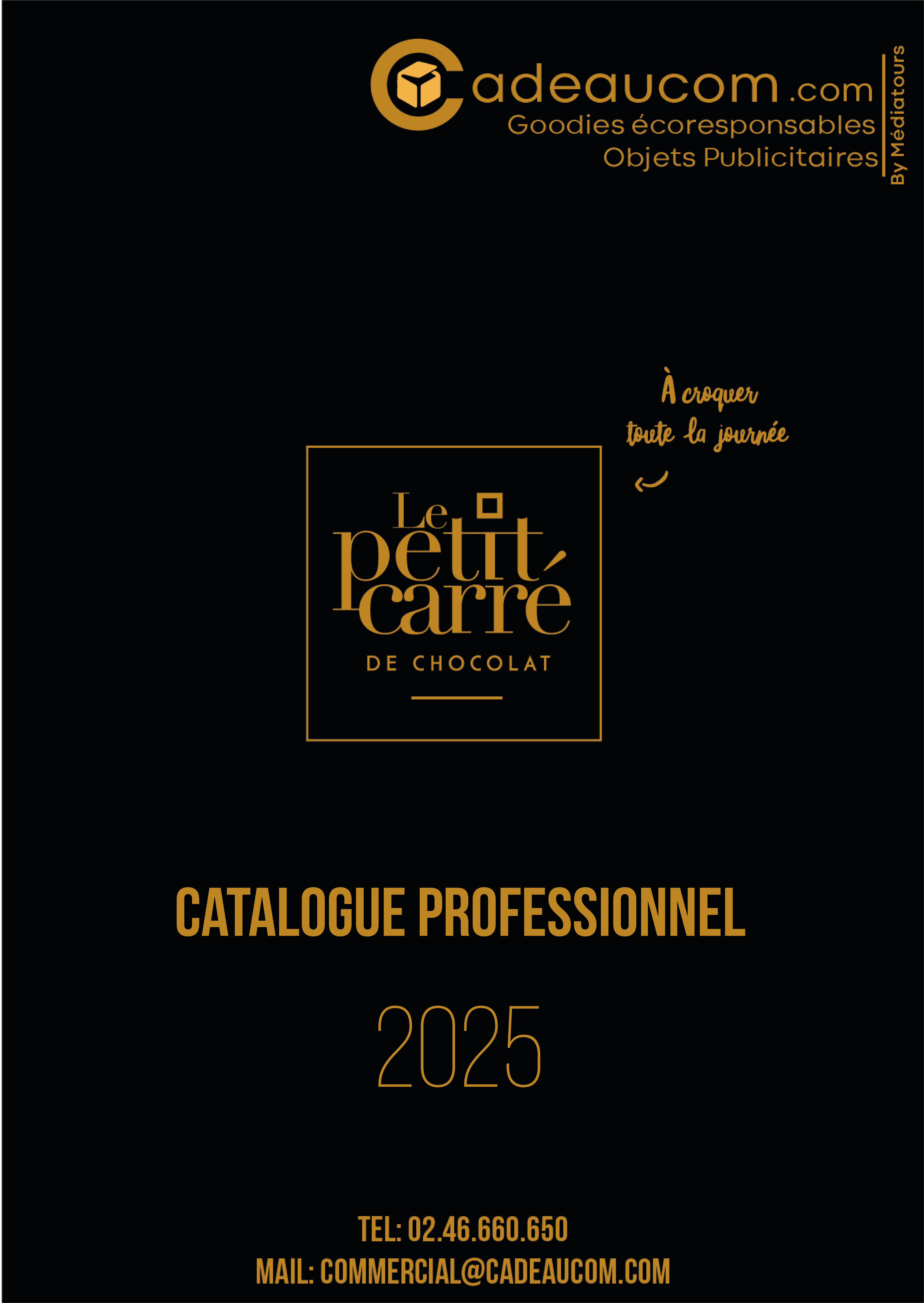 Catalogue Stylos Gold 2024