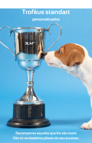 Catálogo de Troféus Personalizados